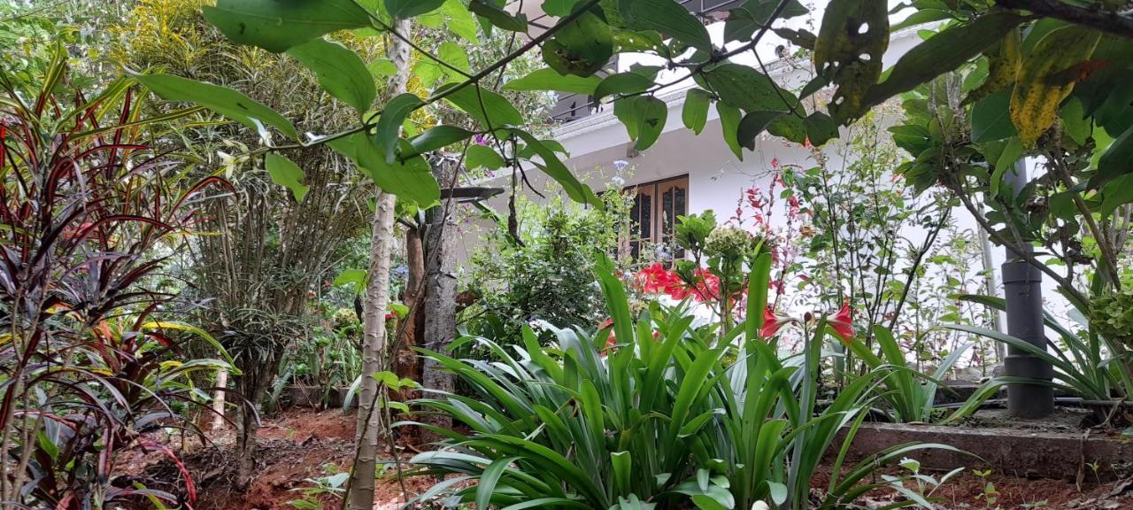 Le Farmhouse Munnar Anachal Luaran gambar
