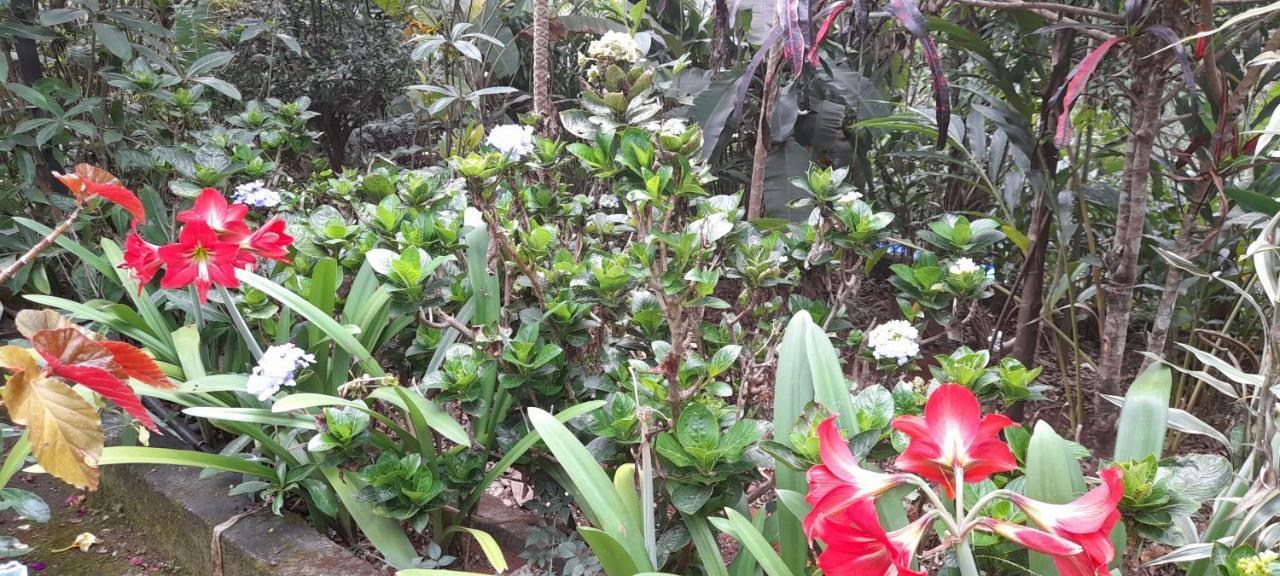 Le Farmhouse Munnar Anachal Luaran gambar