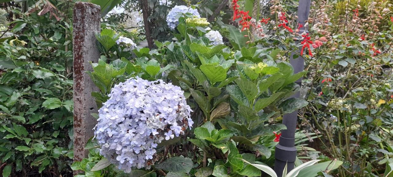 Le Farmhouse Munnar Anachal Luaran gambar
