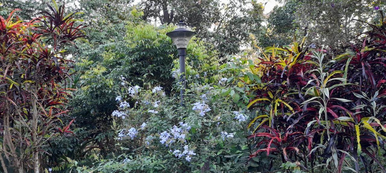 Le Farmhouse Munnar Anachal Luaran gambar