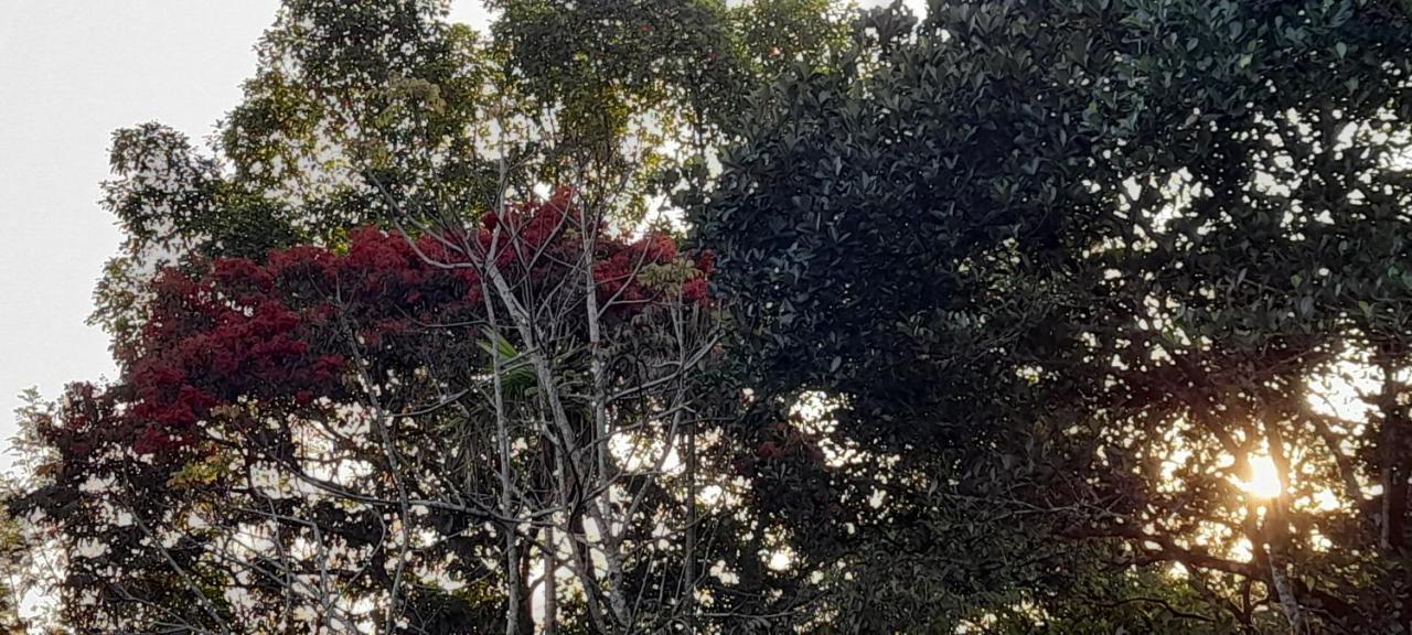 Le Farmhouse Munnar Anachal Luaran gambar