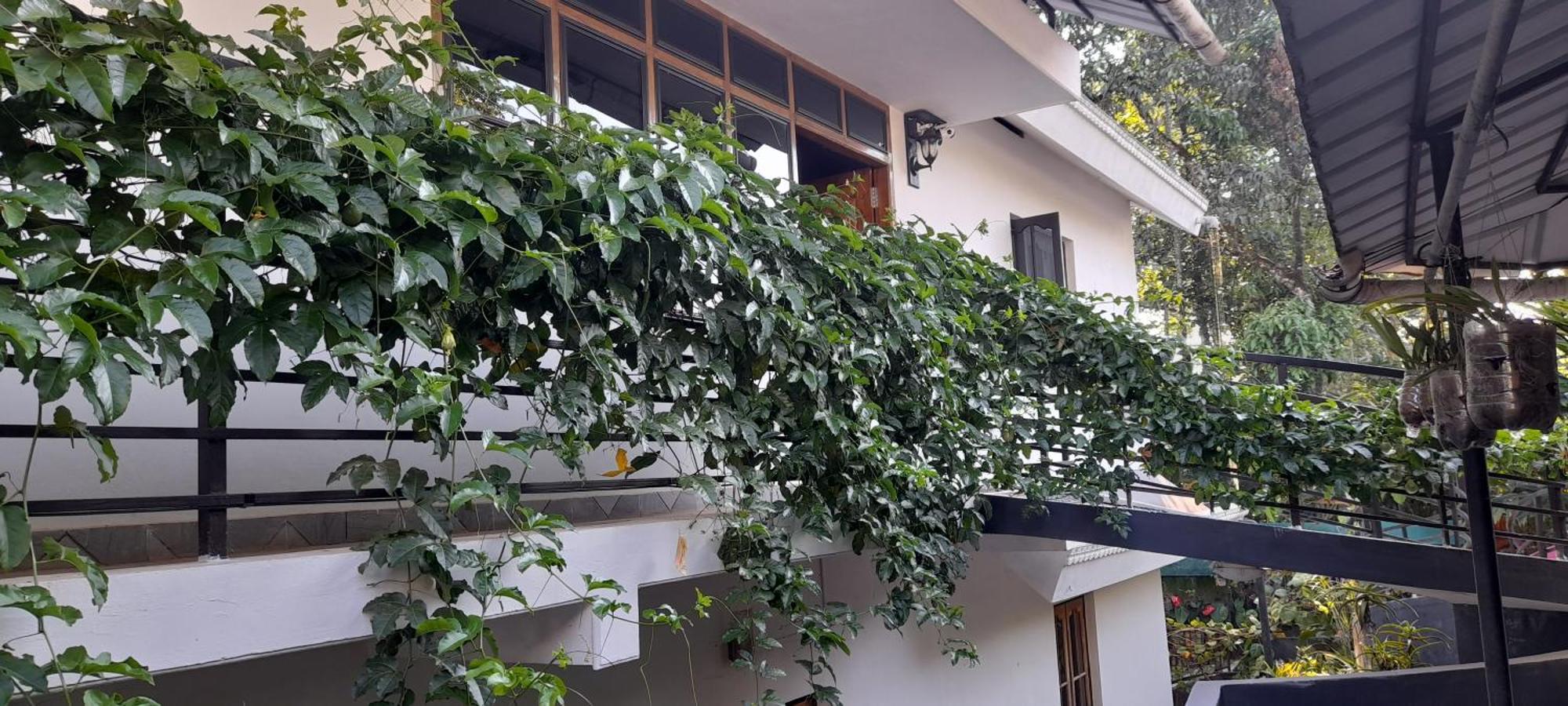 Le Farmhouse Munnar Anachal Luaran gambar
