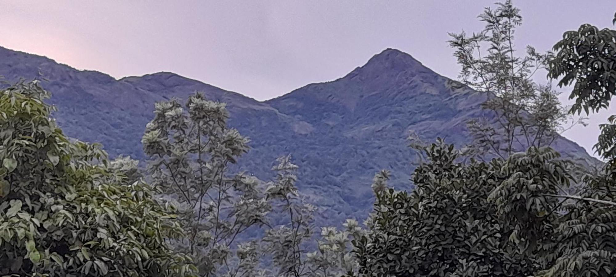 Le Farmhouse Munnar Anachal Luaran gambar