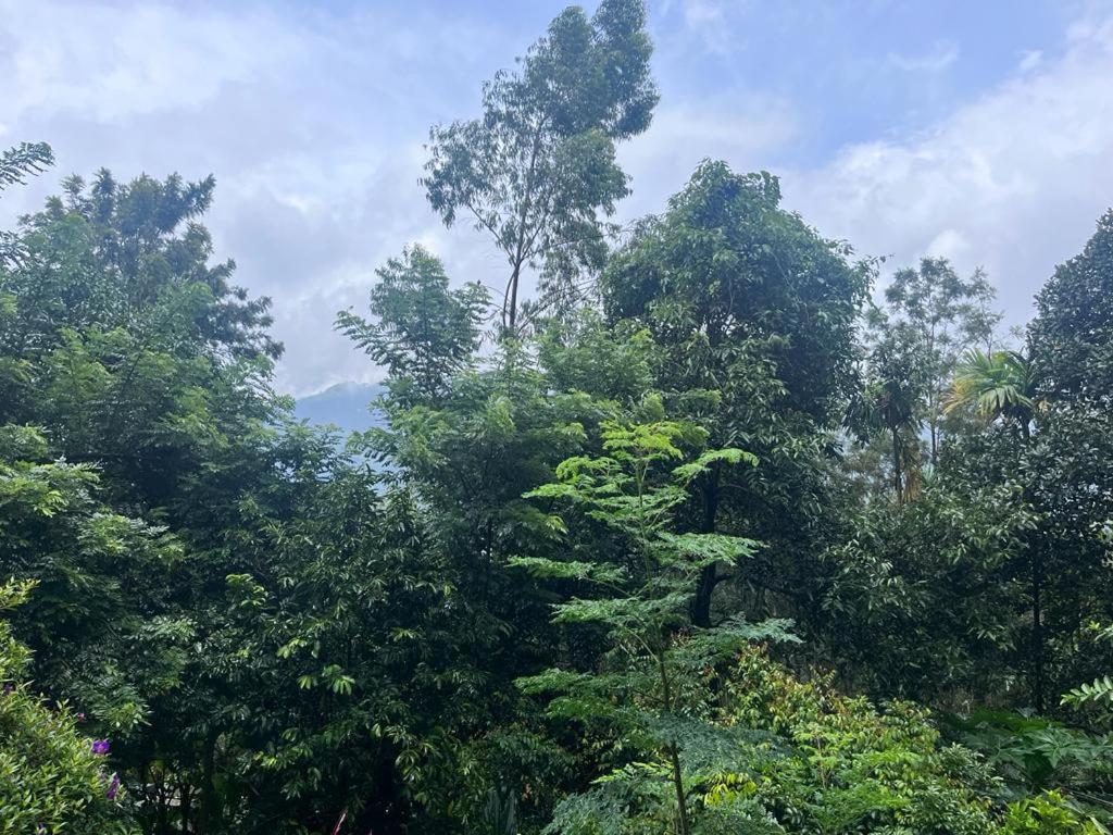 Le Farmhouse Munnar Anachal Luaran gambar