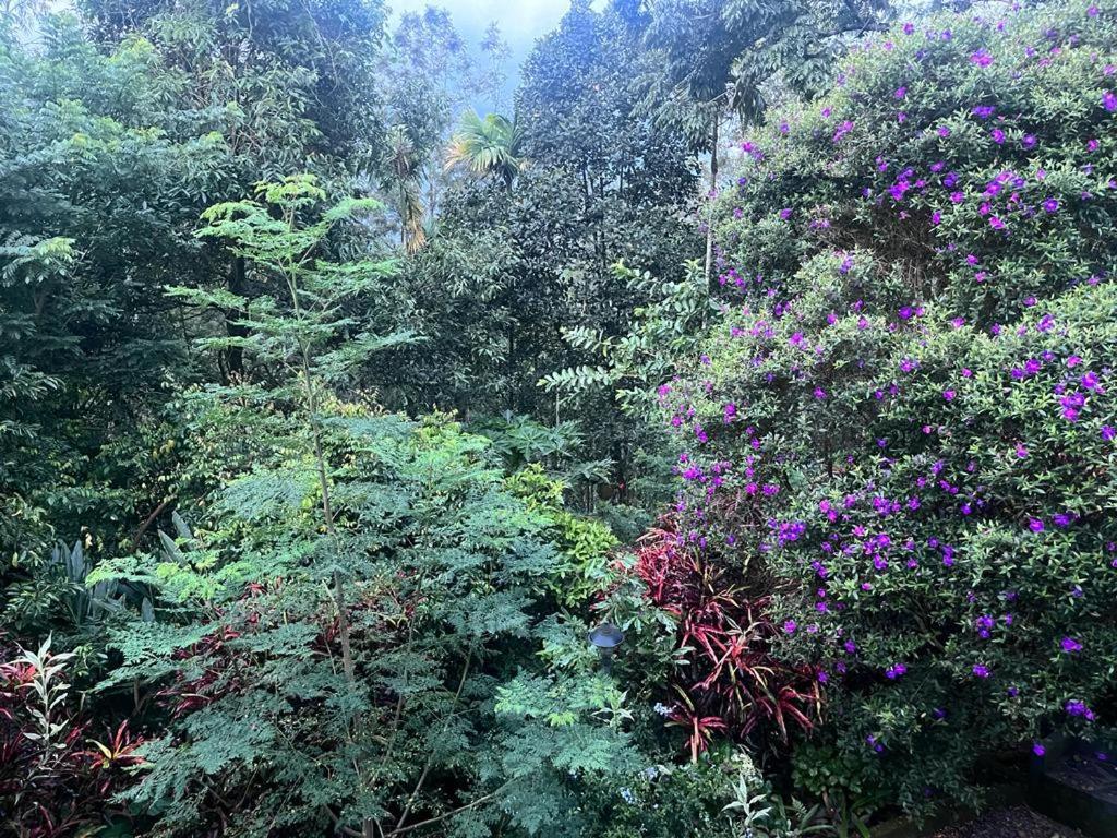 Le Farmhouse Munnar Anachal Luaran gambar